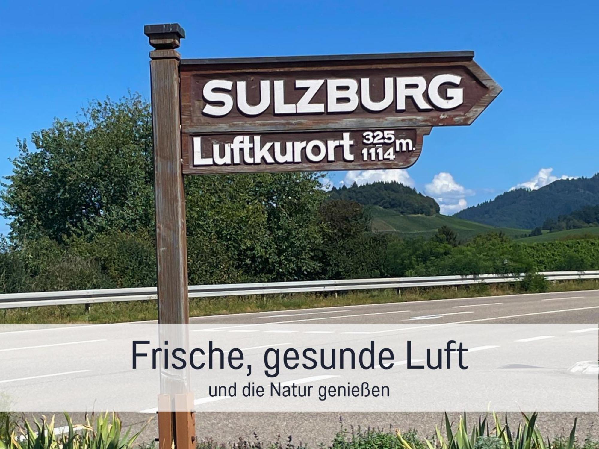 Ferienwohnungen Auszeit Langmatt Sulzburg Exterior foto