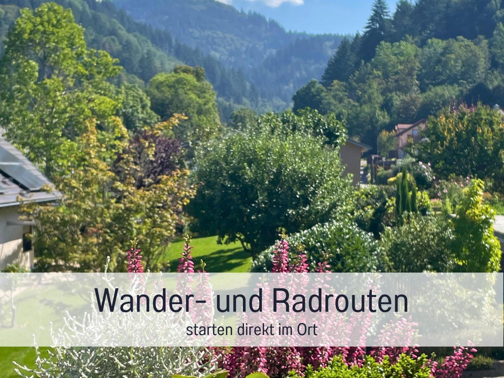 Ferienwohnungen Auszeit Langmatt Sulzburg Exterior foto