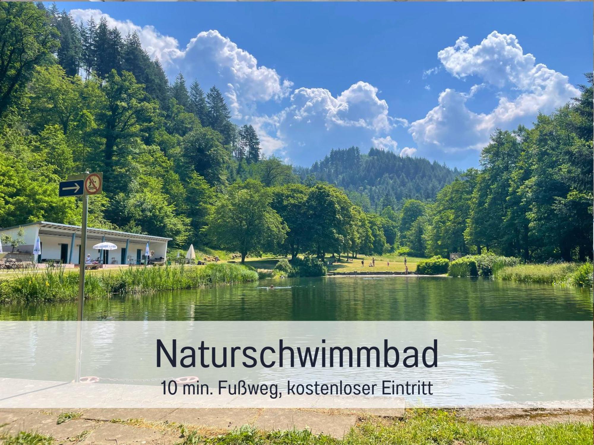 Ferienwohnungen Auszeit Langmatt Sulzburg Exterior foto